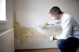 Best Emergency Mold Remediation  in Alameda, CA